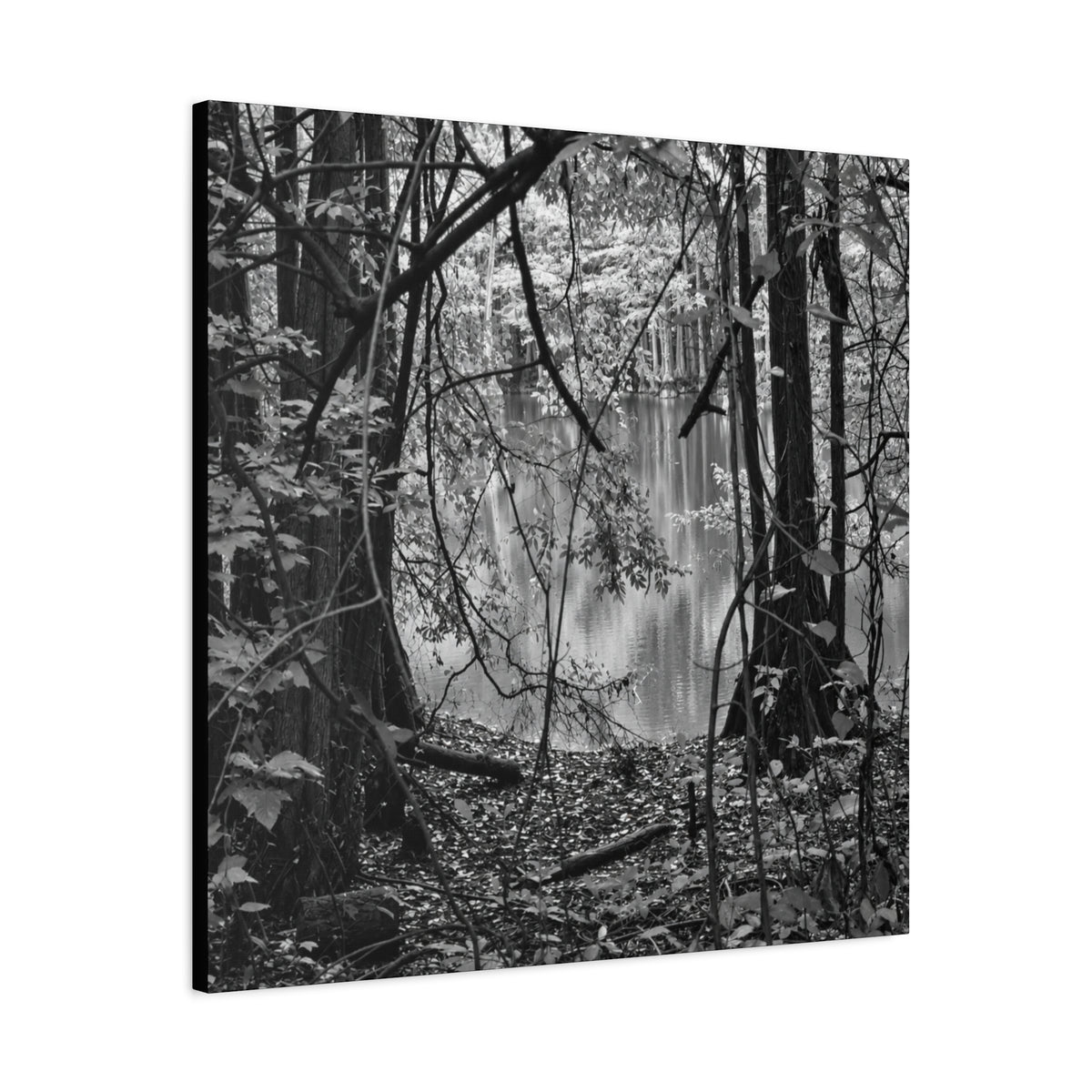 Marsh Edge 1 Canvas