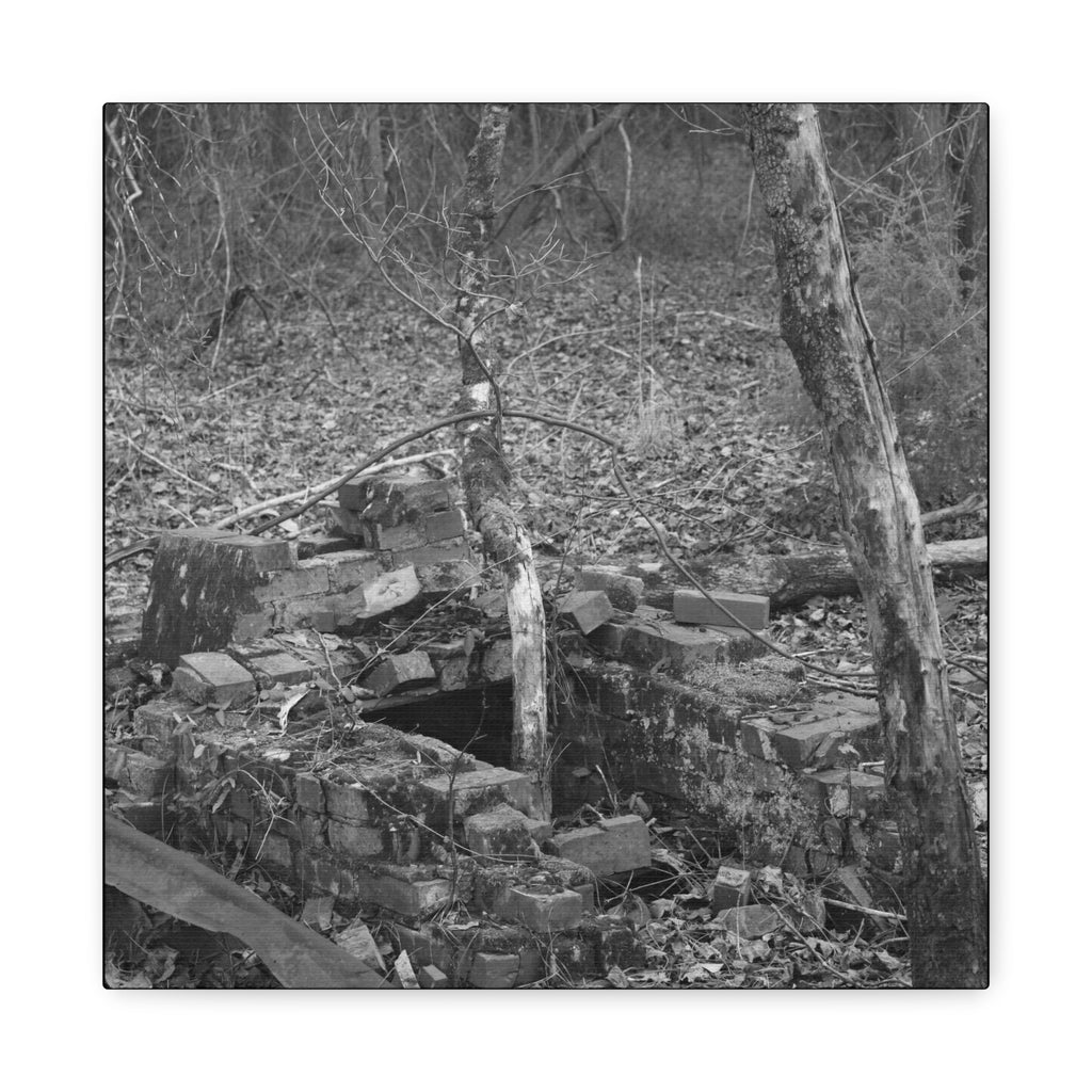 Forest Rubble Canvas