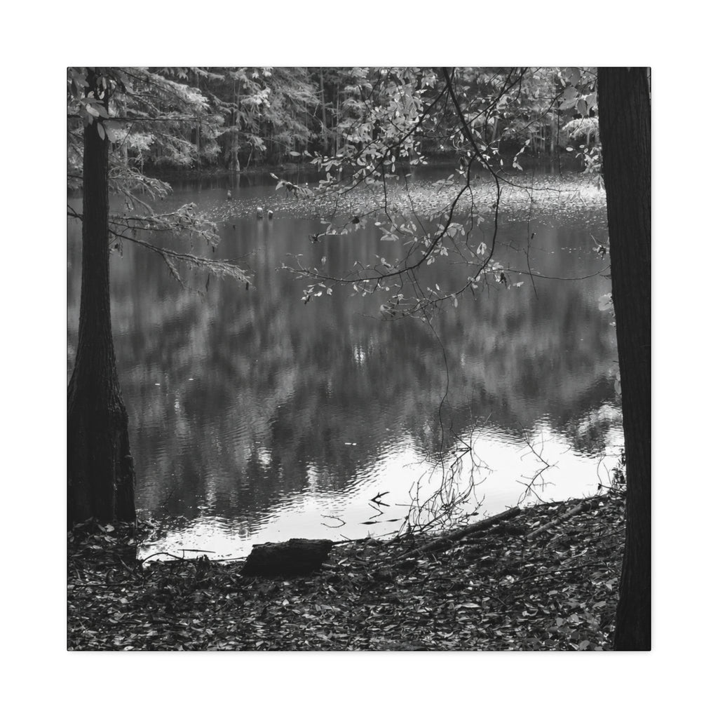 Marsh Edge 2 Canvas
