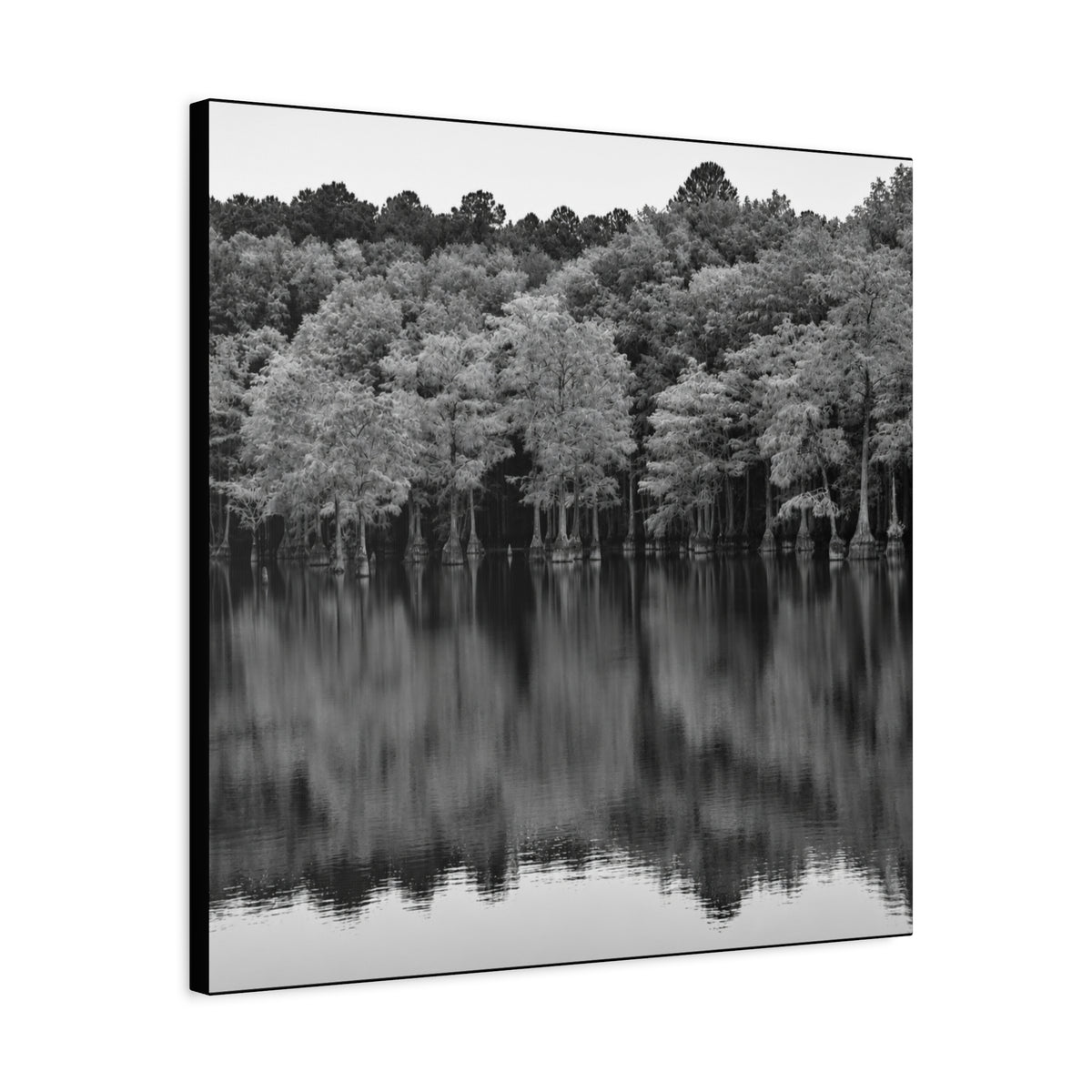 Marsh Reflection Canvas