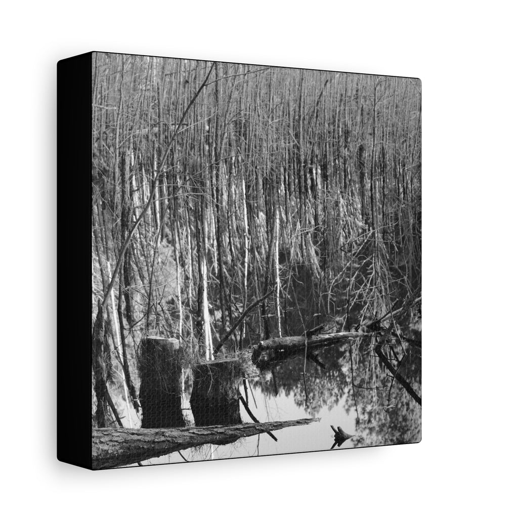 Marsh Stumps Canvas