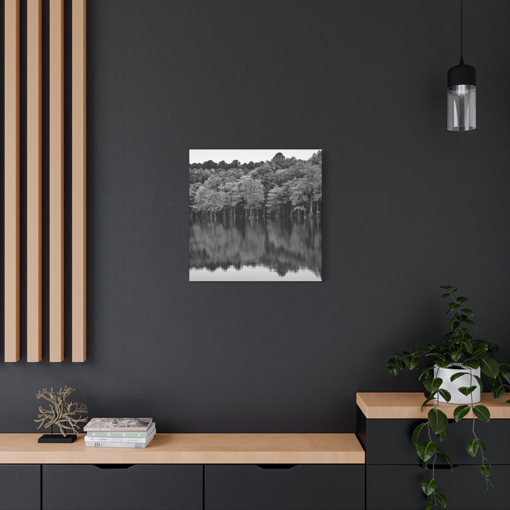 Marsh Reflection Canvas