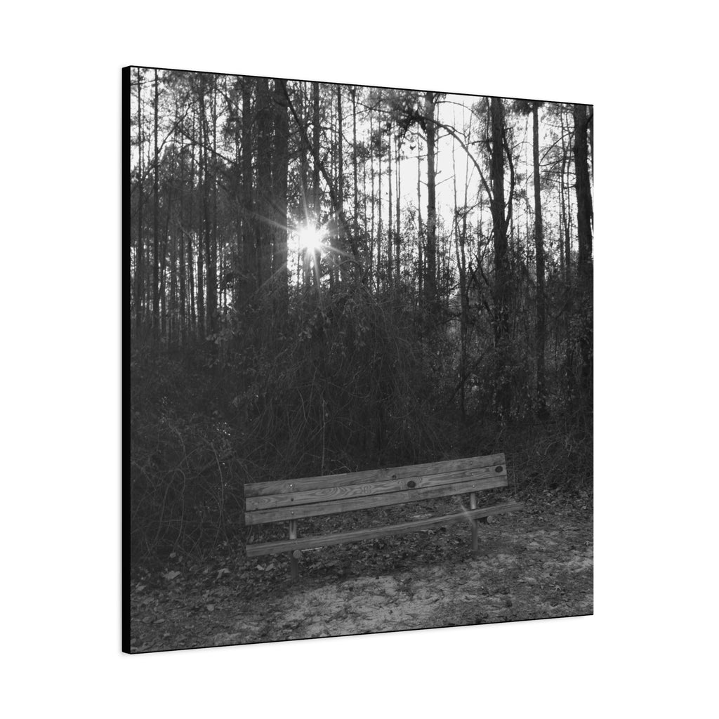Forest Bench Canvas
