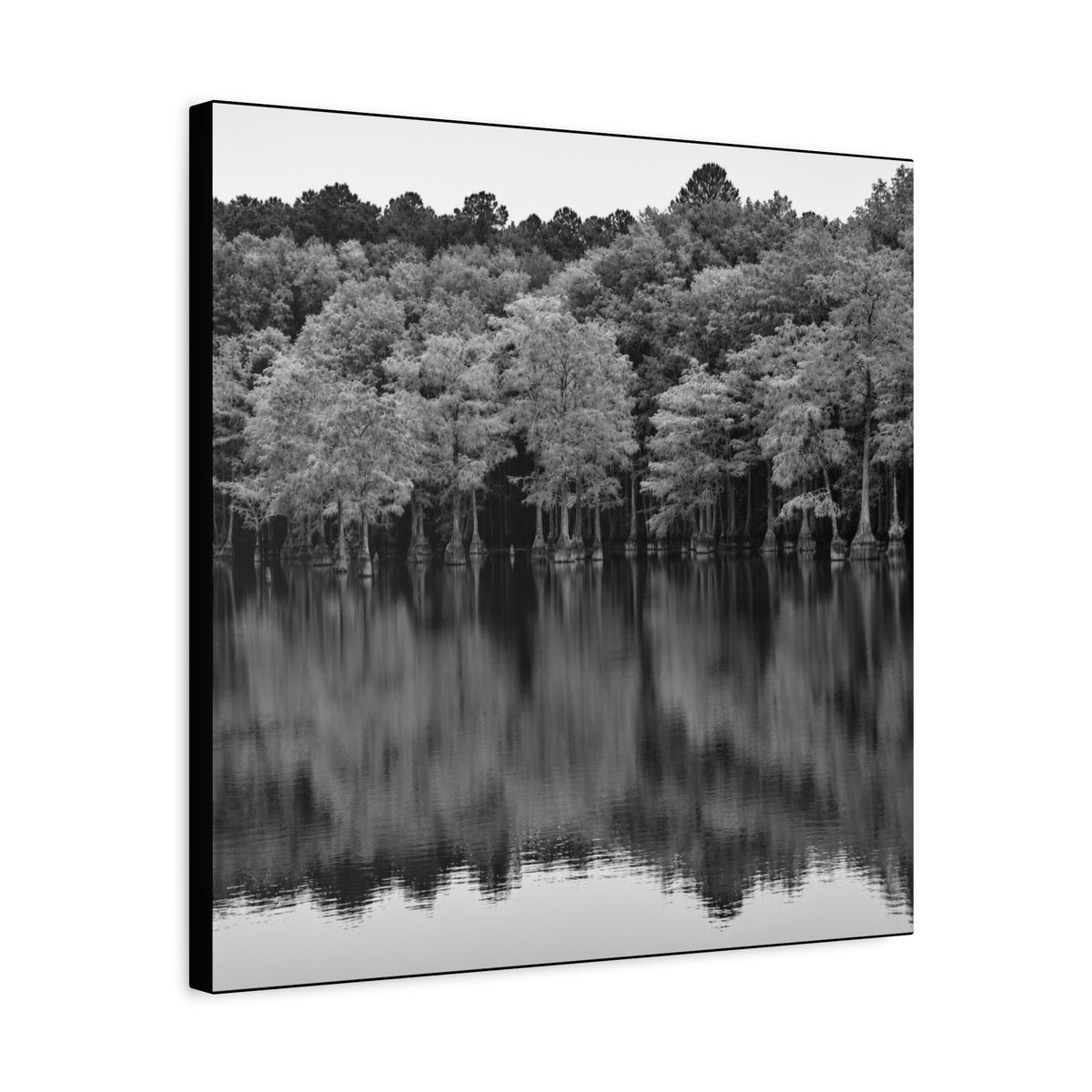 Marsh Reflection Canvas