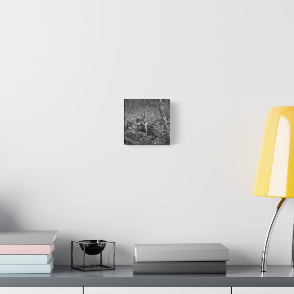 Forest Rubble Canvas