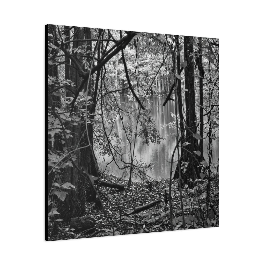 Marsh Edge 1 Canvas