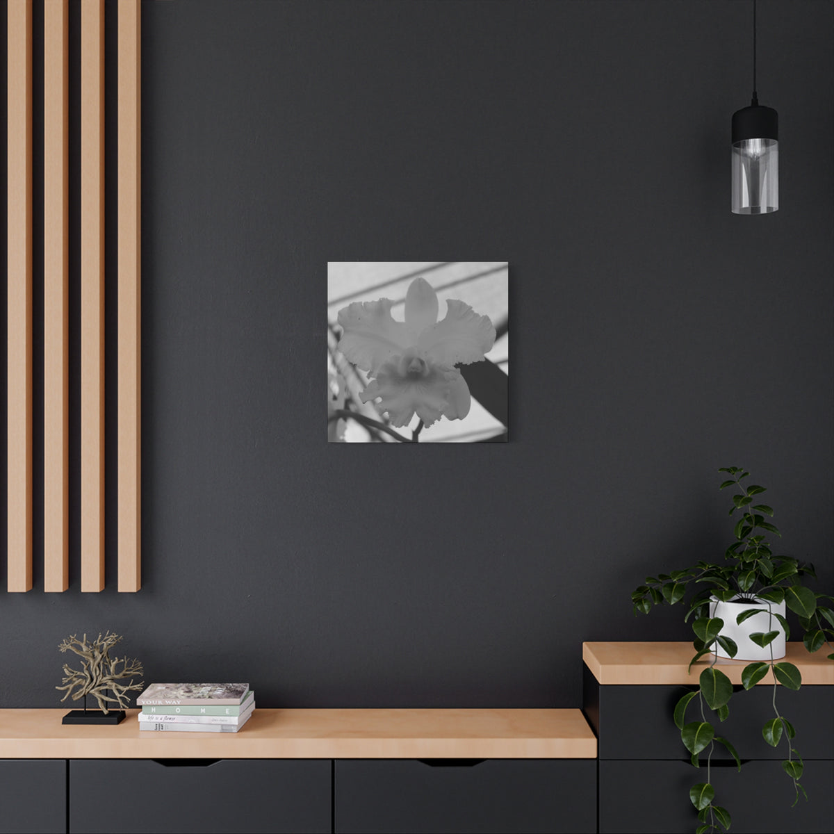 Orchid Canvas 6