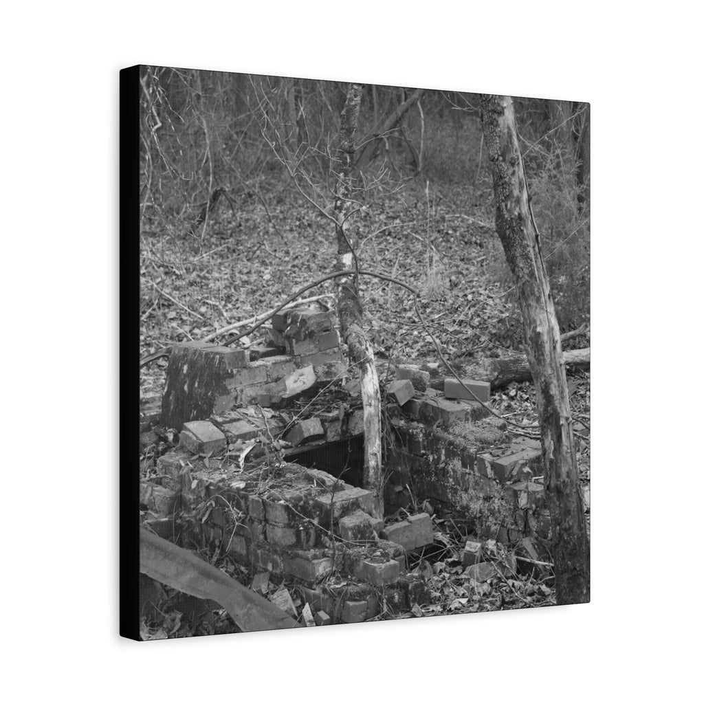 Forest Rubble Canvas