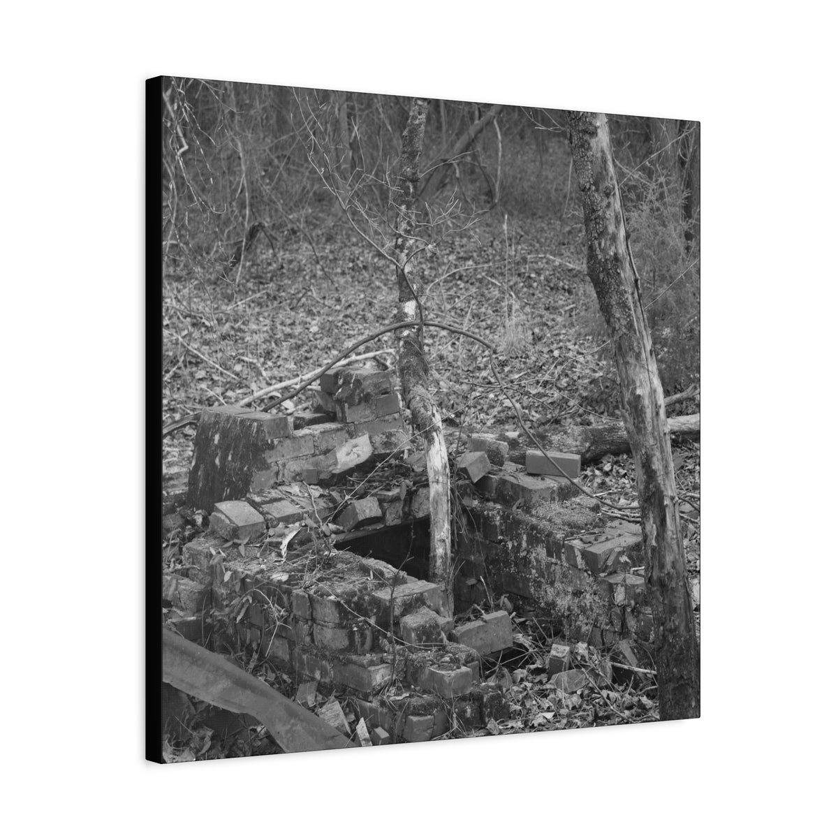 Forest Rubble Canvas