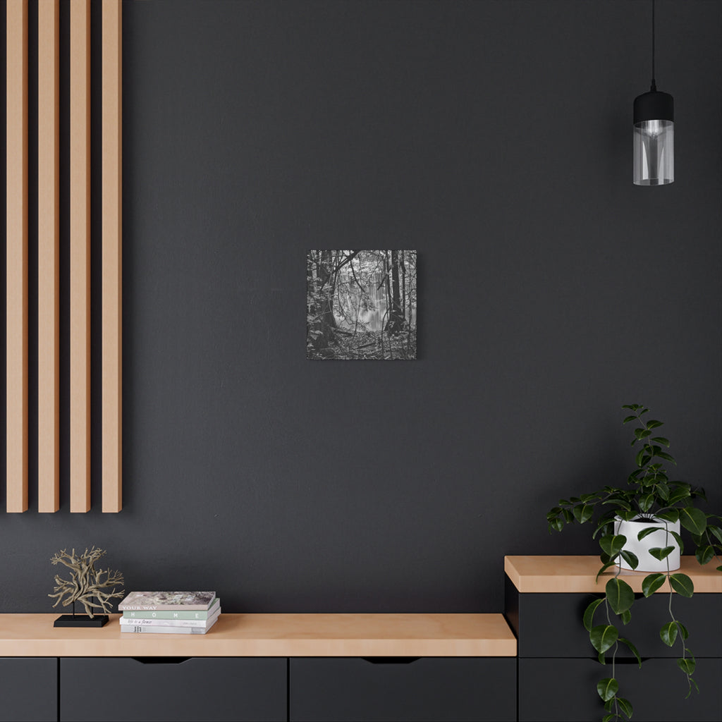Marsh Edge 1 Canvas