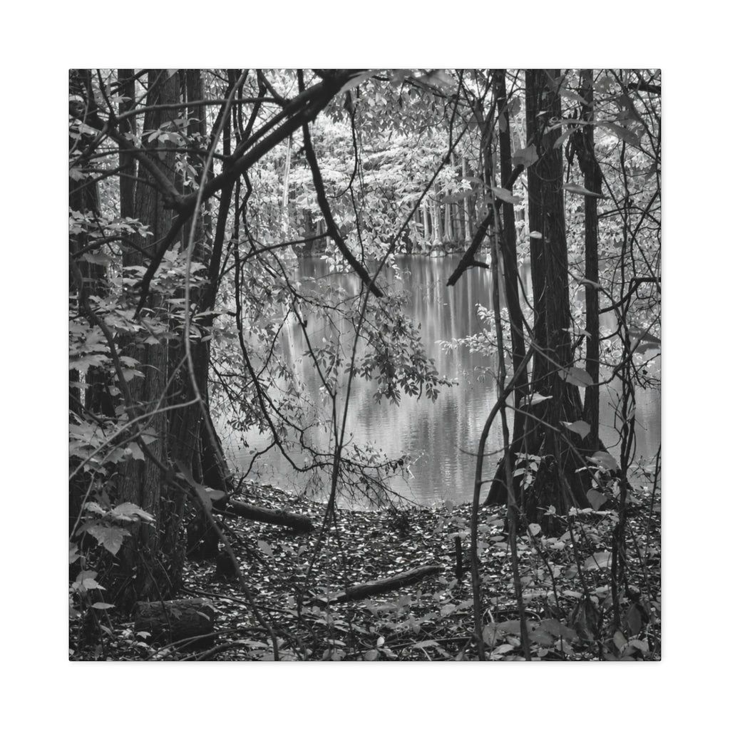 Marsh Edge 1 Canvas