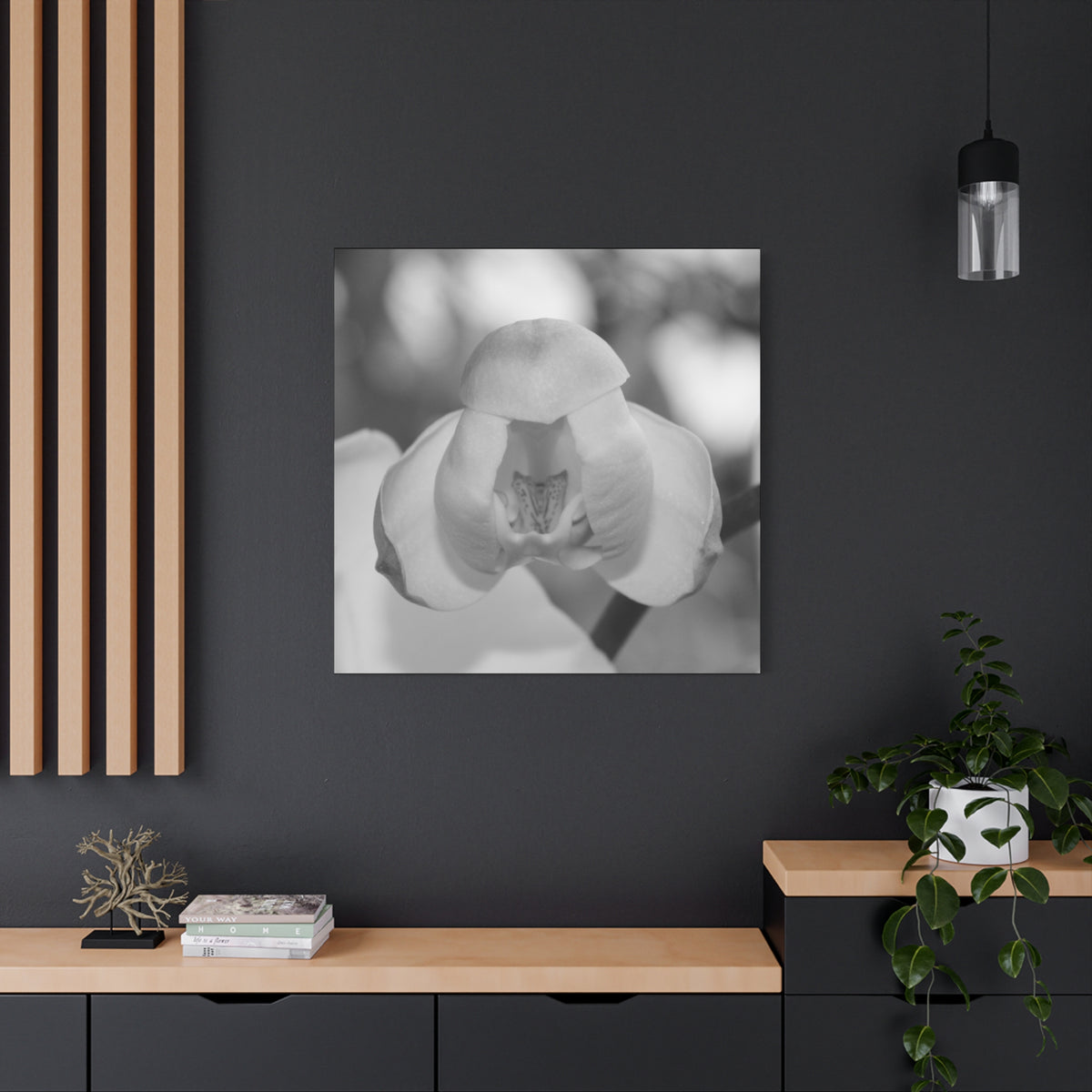 Orchid Budding Canvas