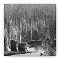 Marsh Stumps Canvas