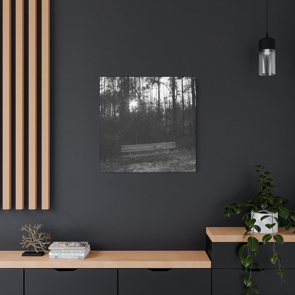 Forest Bench Canvas