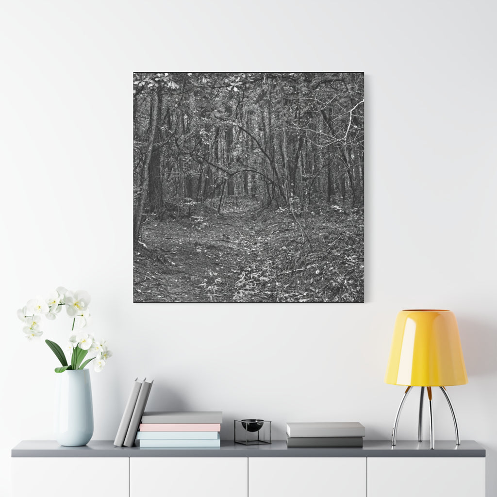 Forest Path Canvas