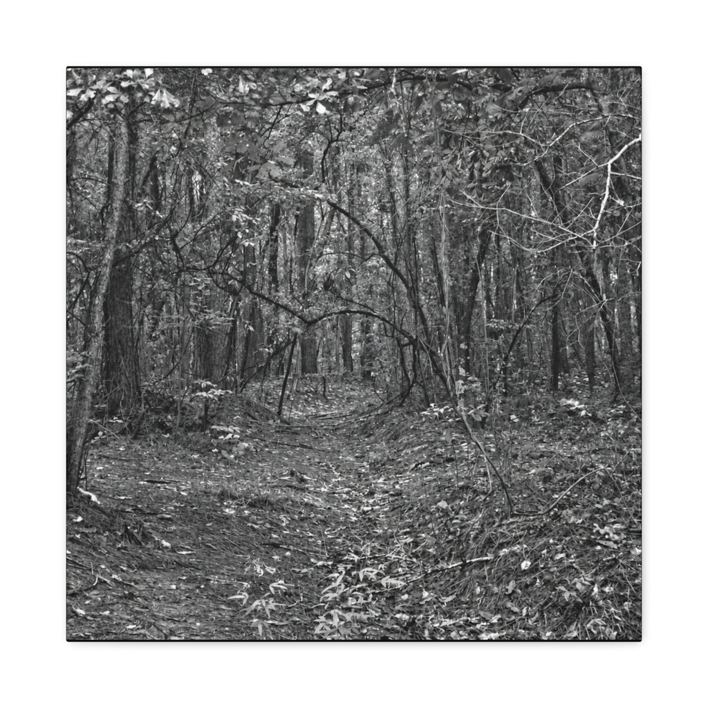 Forest Path Canvas