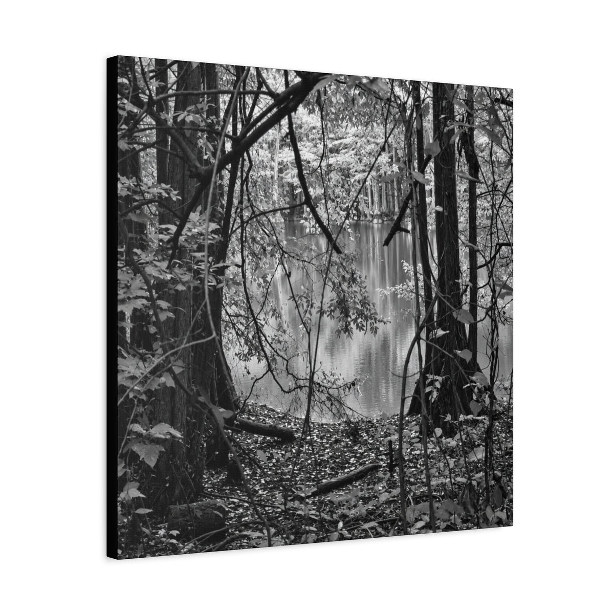 Marsh Edge 1 Canvas