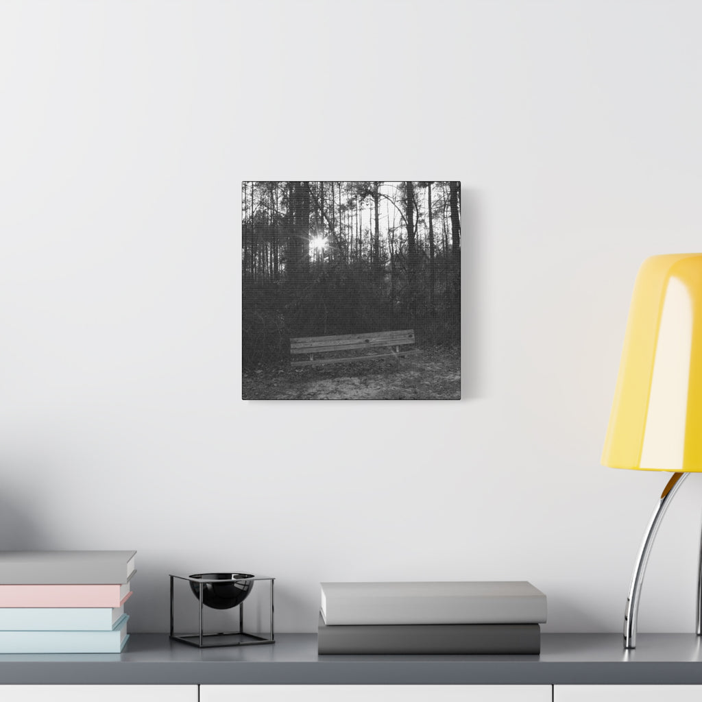Forest Bench Canvas