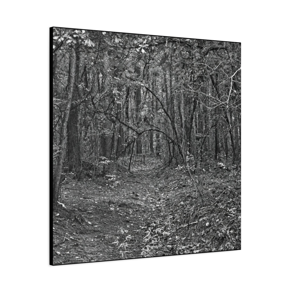 Forest Path Canvas