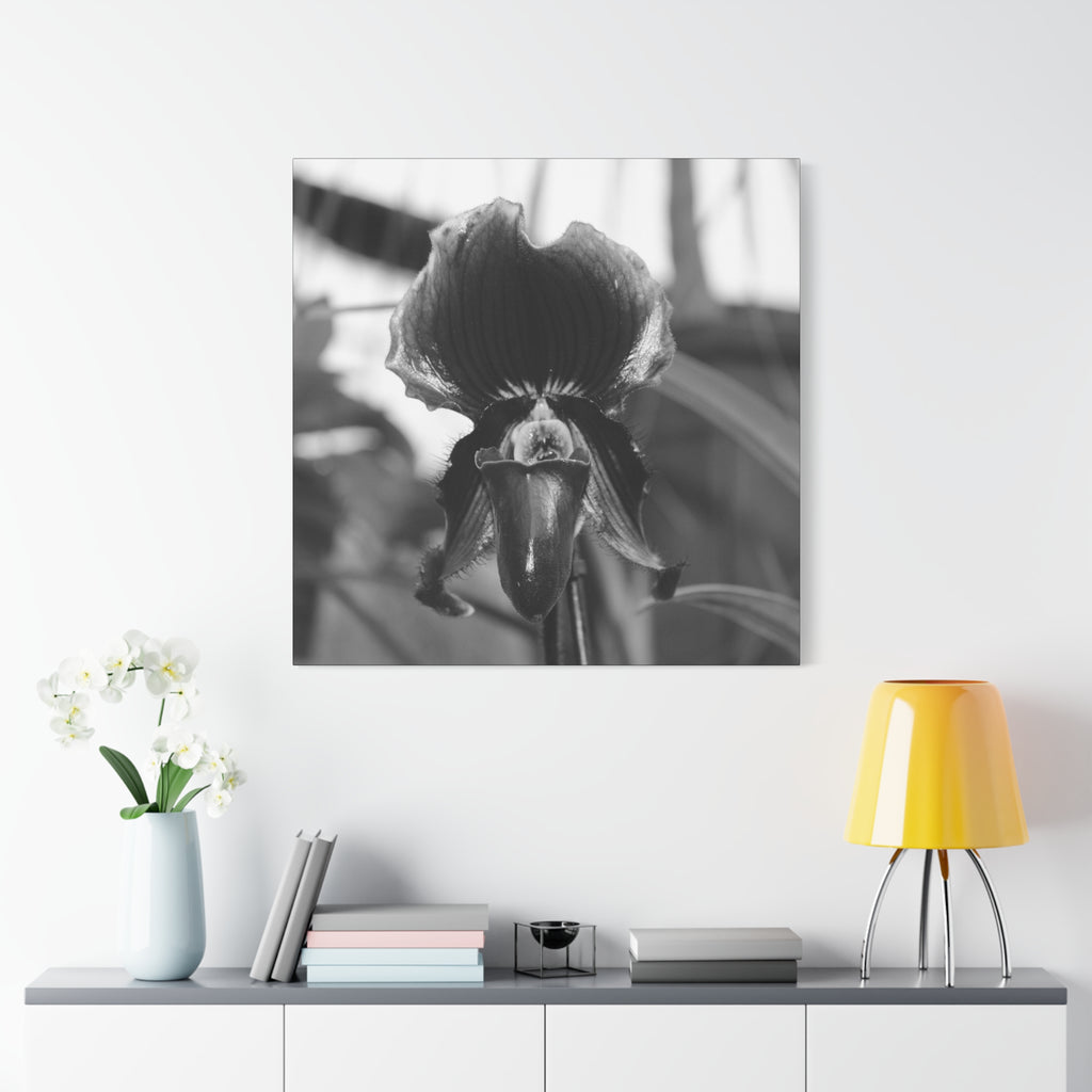 Lady Slipper Canvas 1