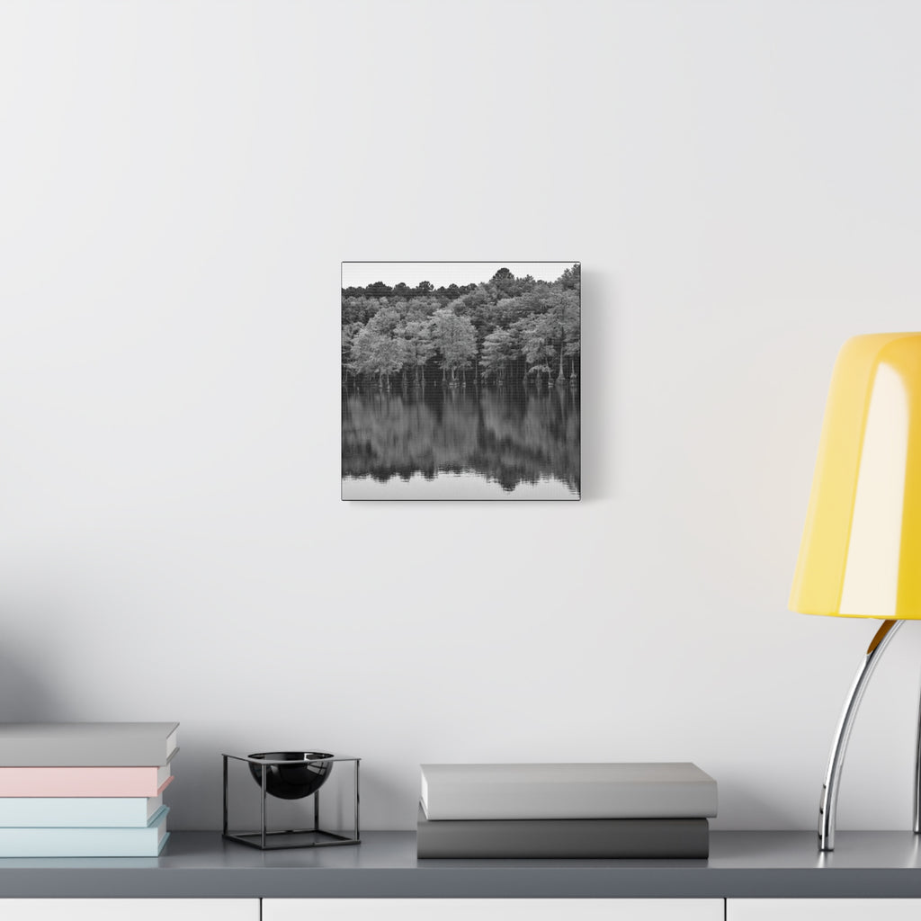 Marsh Reflection Canvas