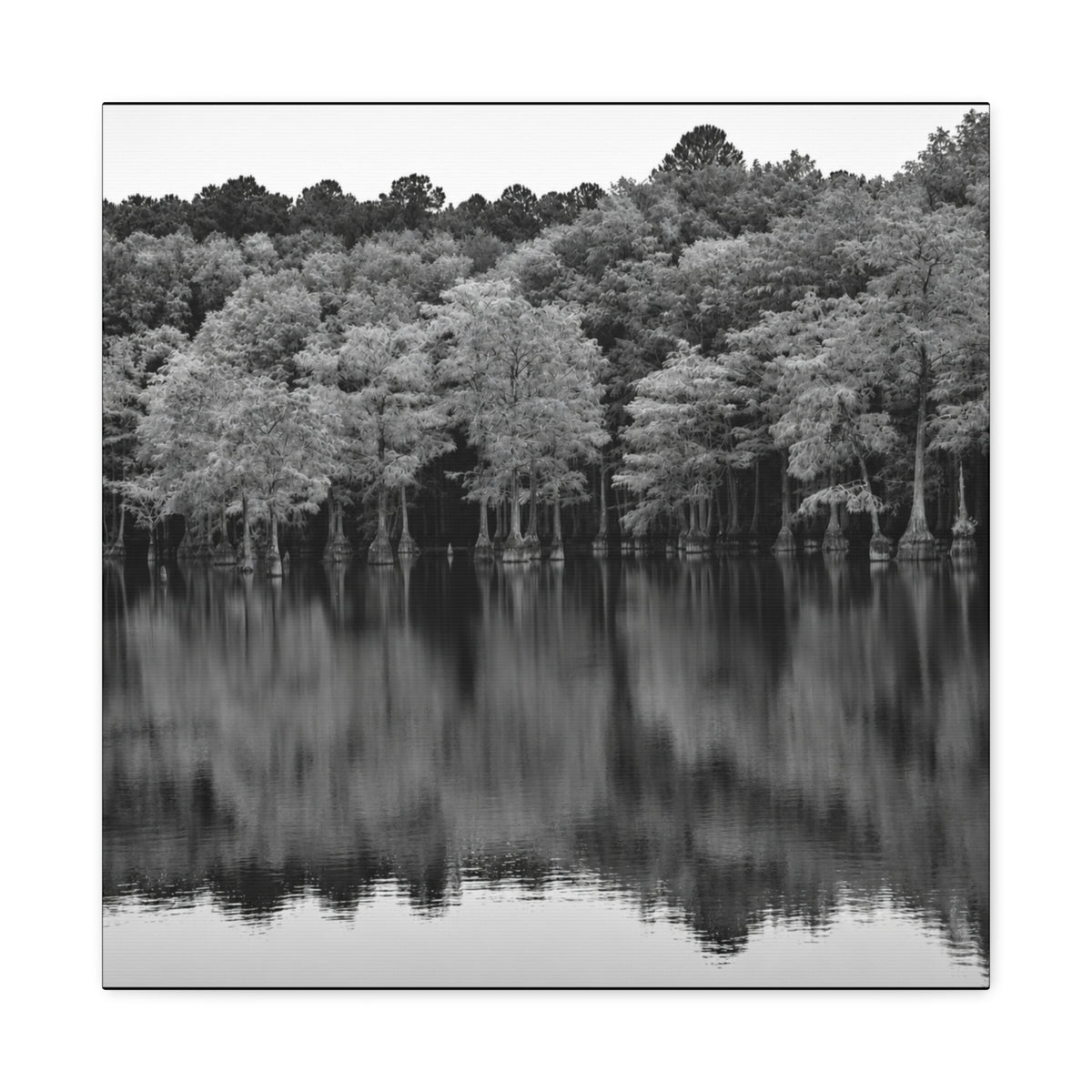 Marsh Reflection Canvas