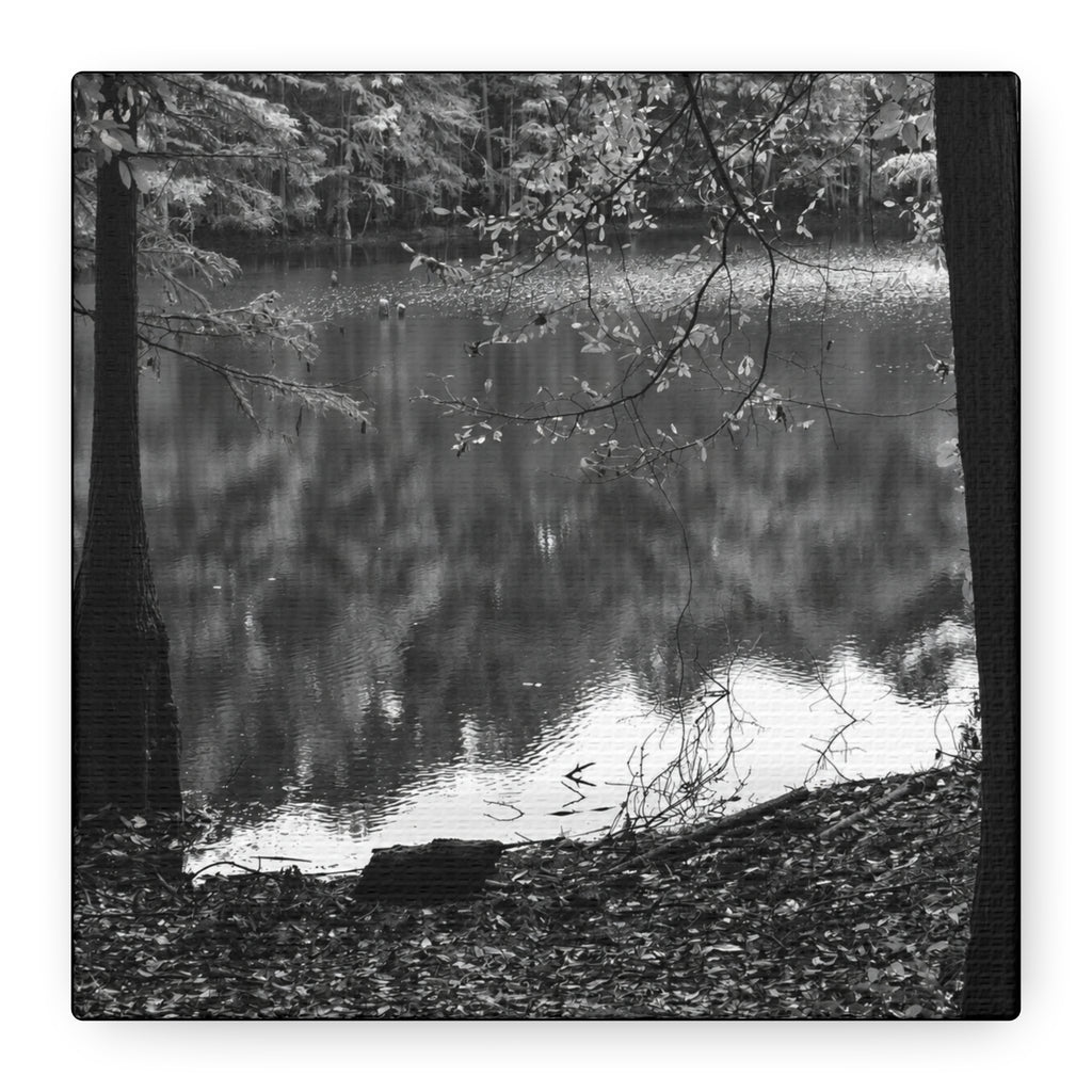 Marsh Edge 2 Canvas