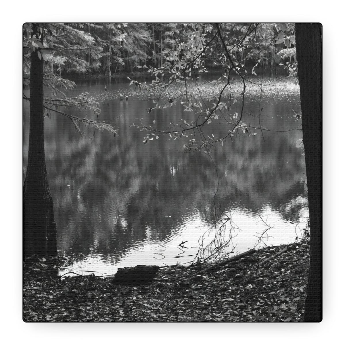 Marsh Edge 2 Canvas