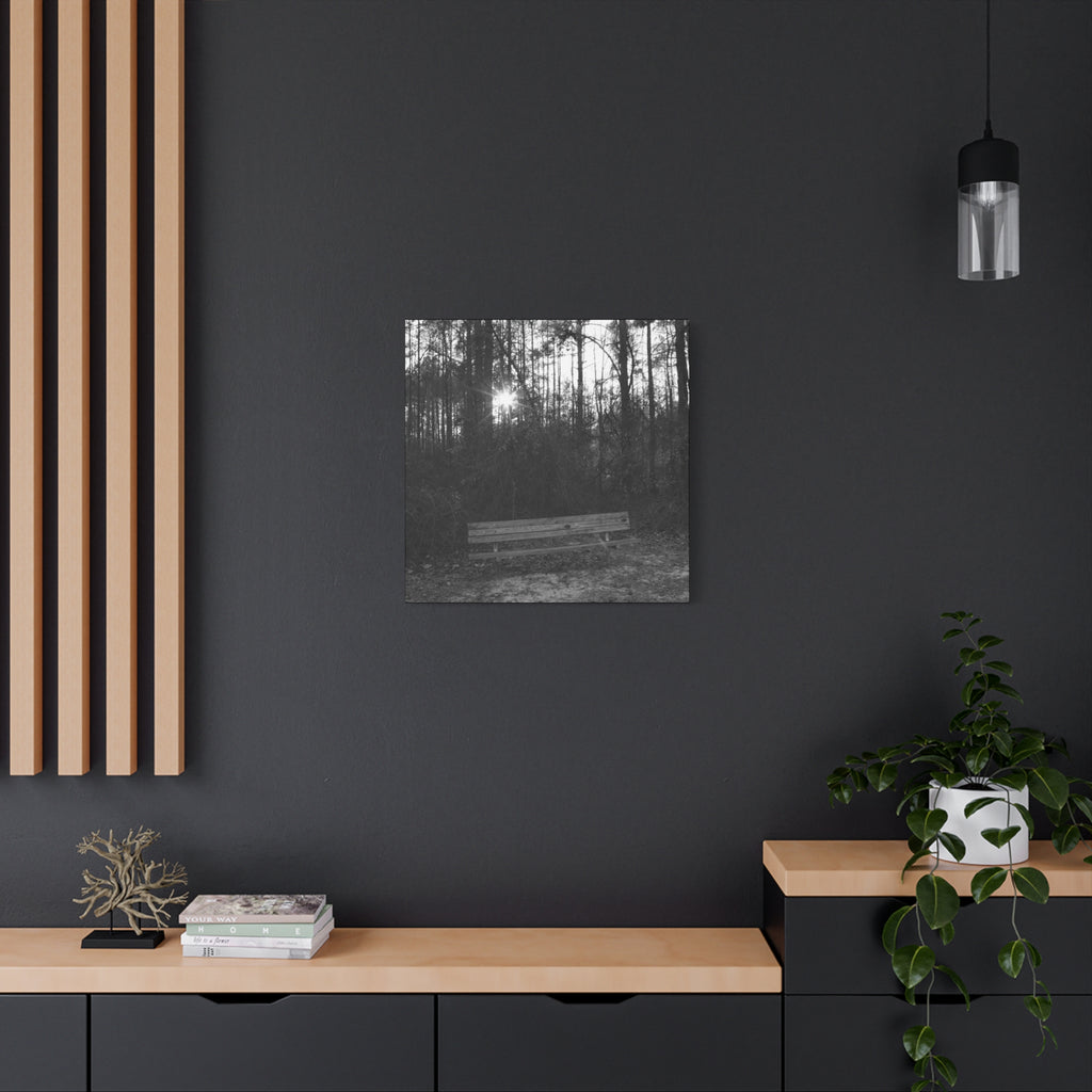 Forest Bench Canvas