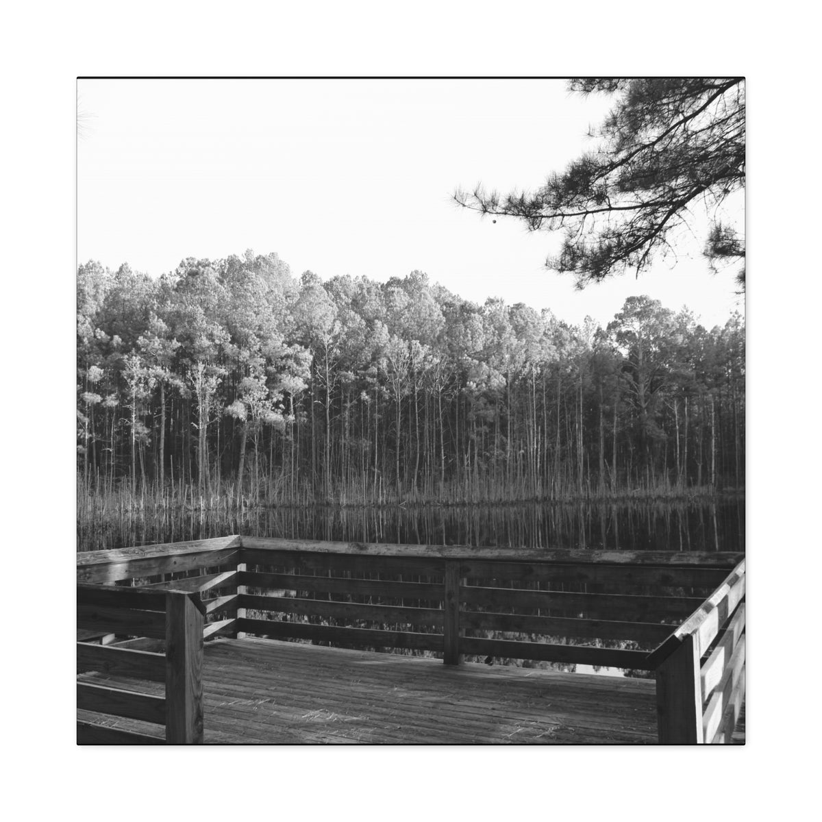 River Dock Canvas