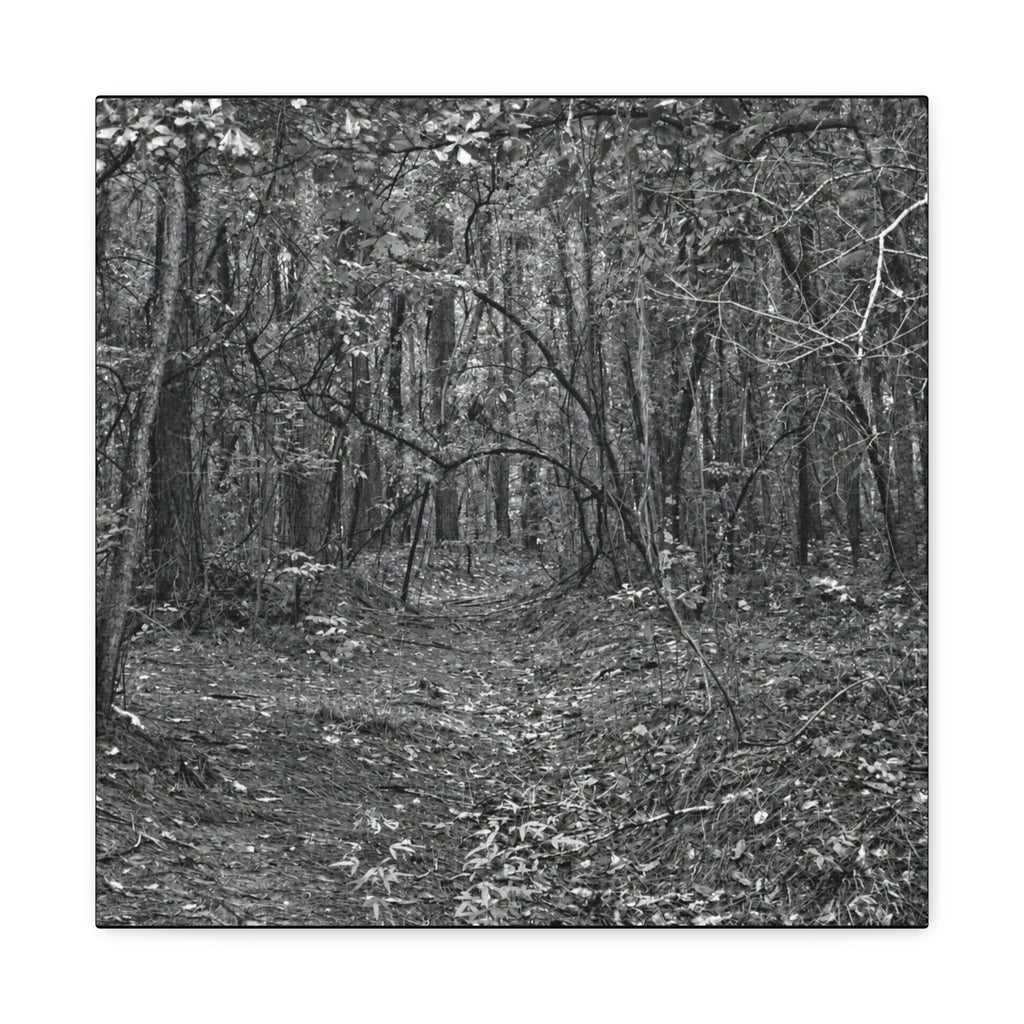 Forest Path Canvas