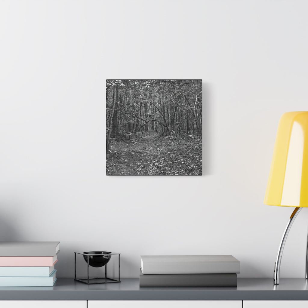 Forest Path Canvas