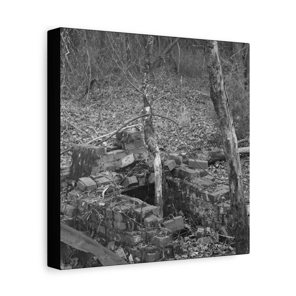 Forest Rubble Canvas