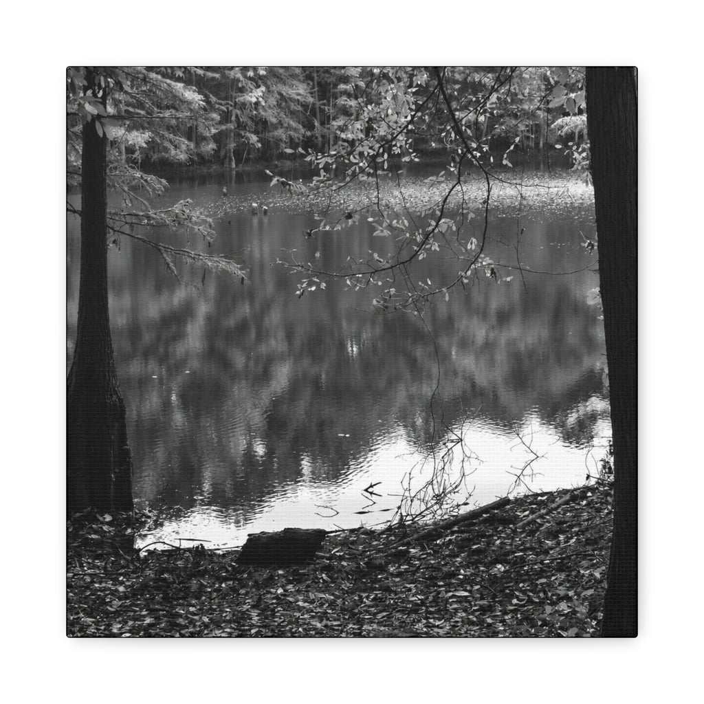 Marsh Edge 2 Canvas