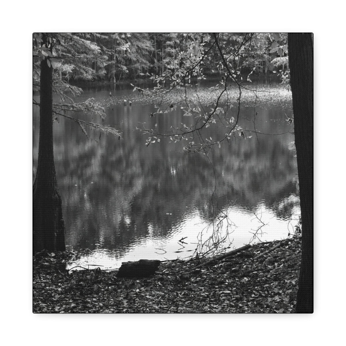 Marsh Edge 2 Canvas