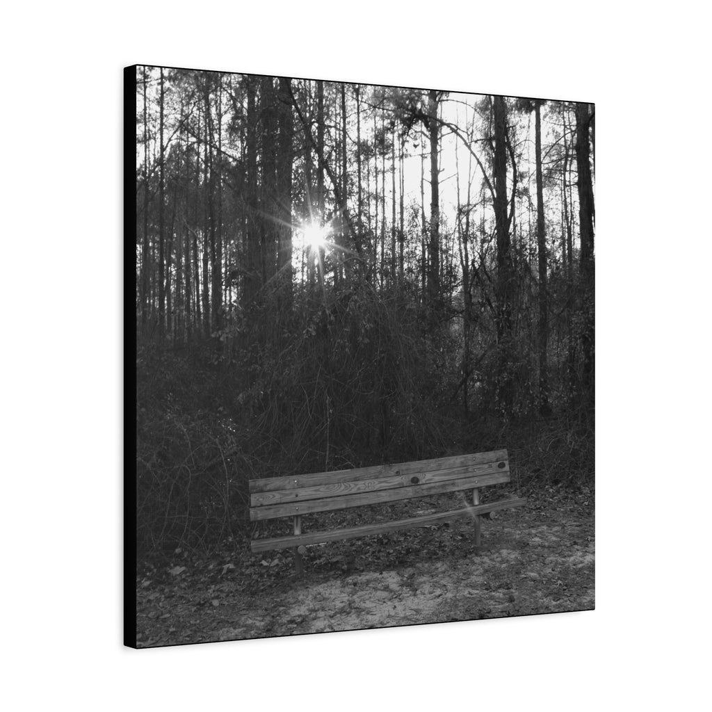 Forest Bench Canvas