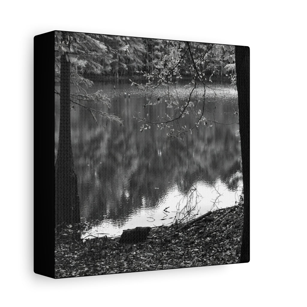 Marsh Edge 2 Canvas