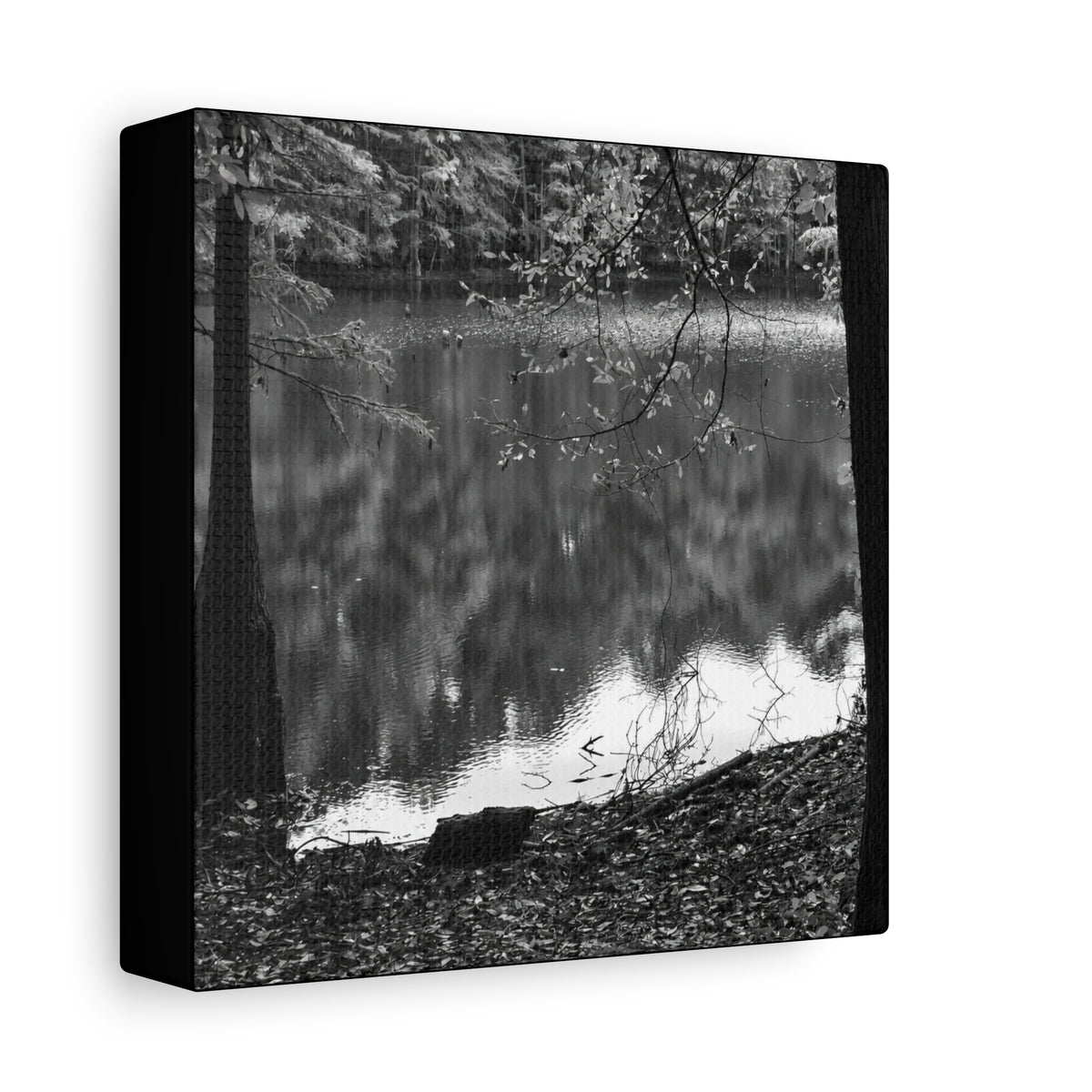Marsh Edge 2 Canvas