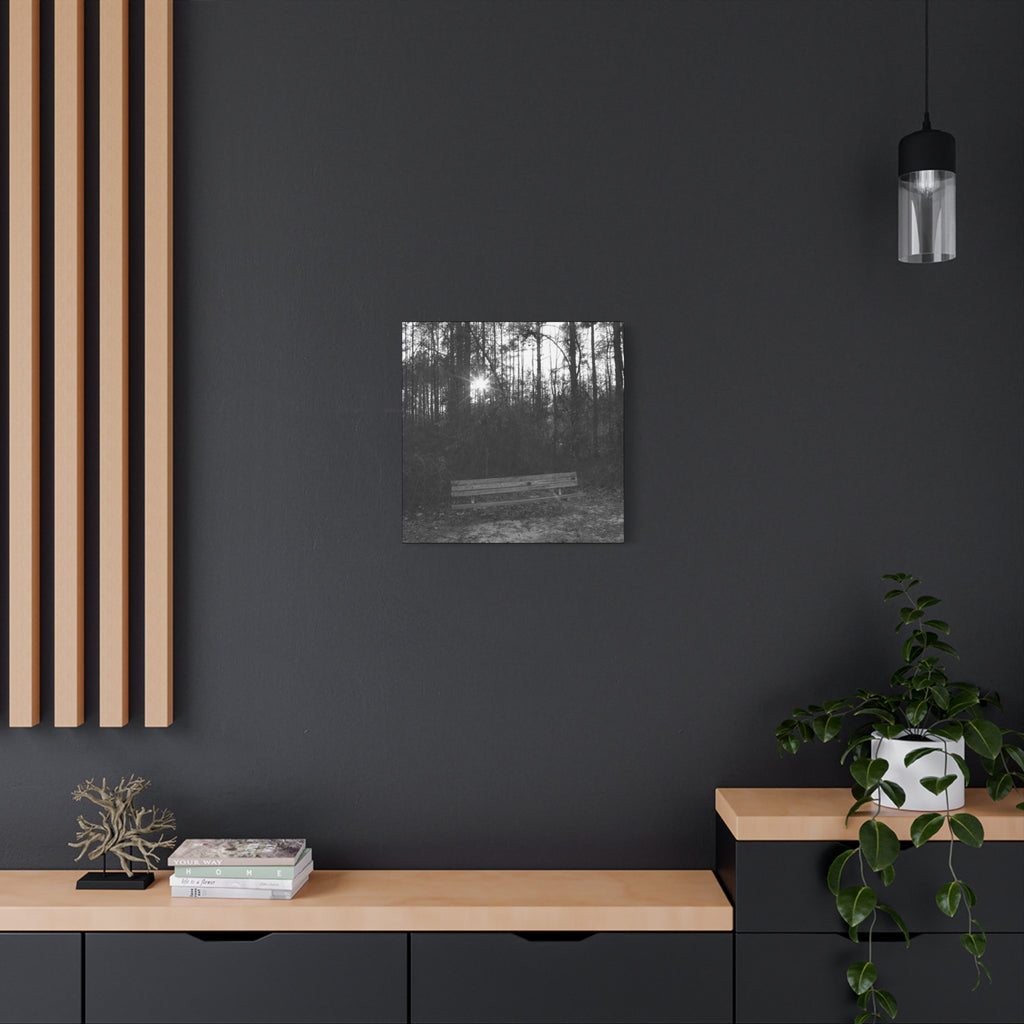 Forest Bench Canvas