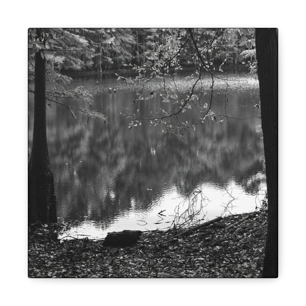 Marsh Edge 2 Canvas