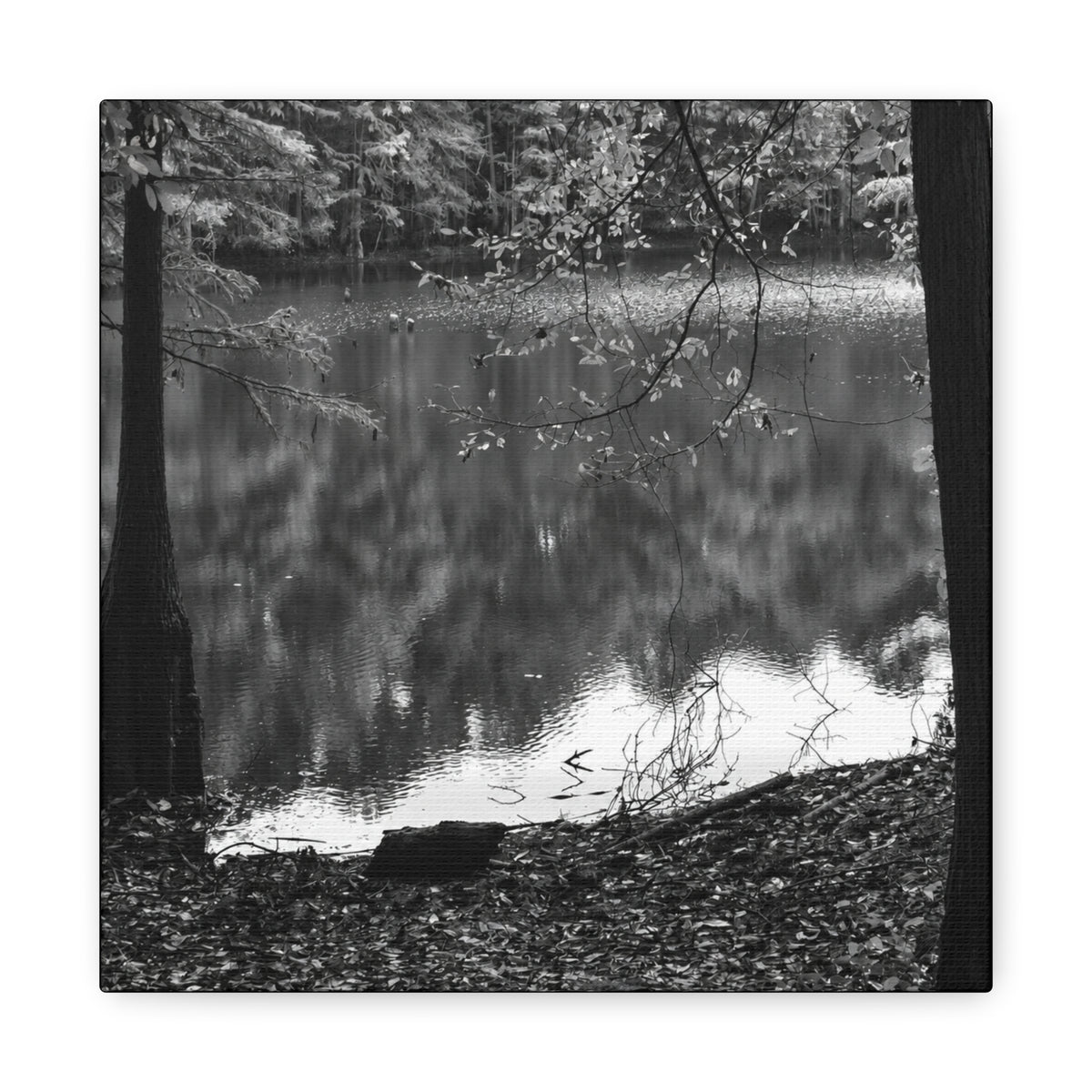 Marsh Edge 2 Canvas