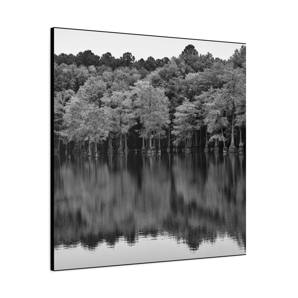 Marsh Reflection Canvas