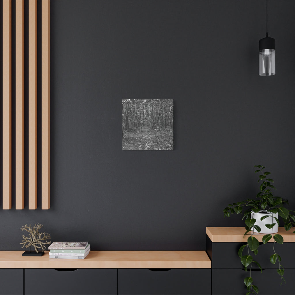 Forest Path Canvas