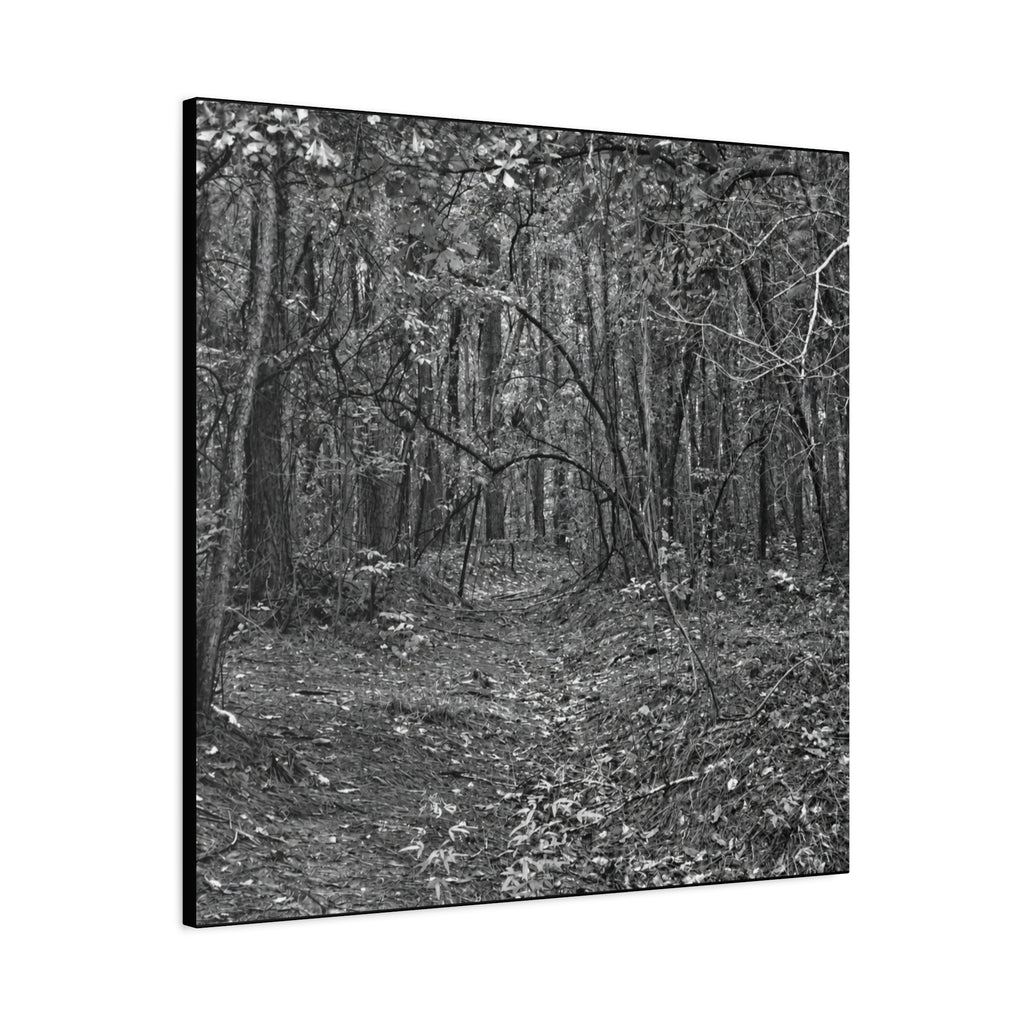 Forest Path Canvas