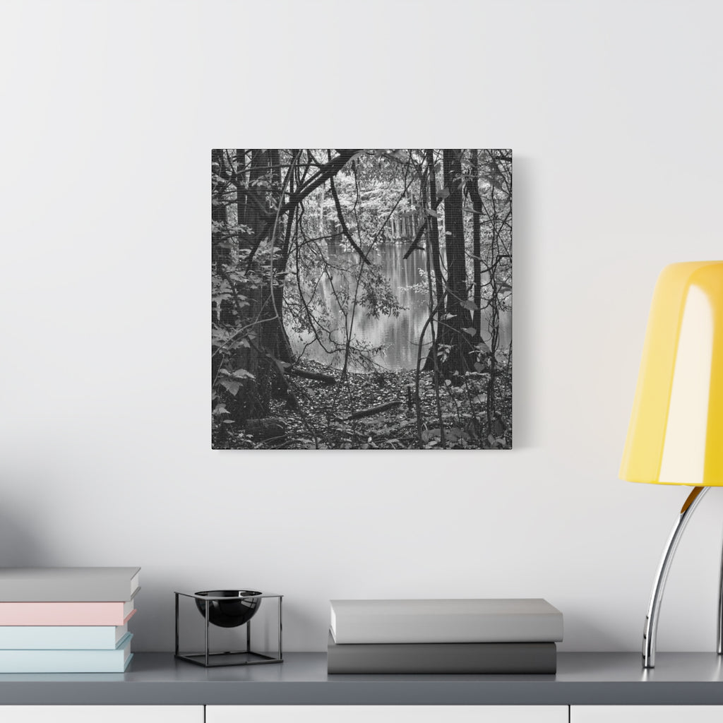 Marsh Edge 1 Canvas