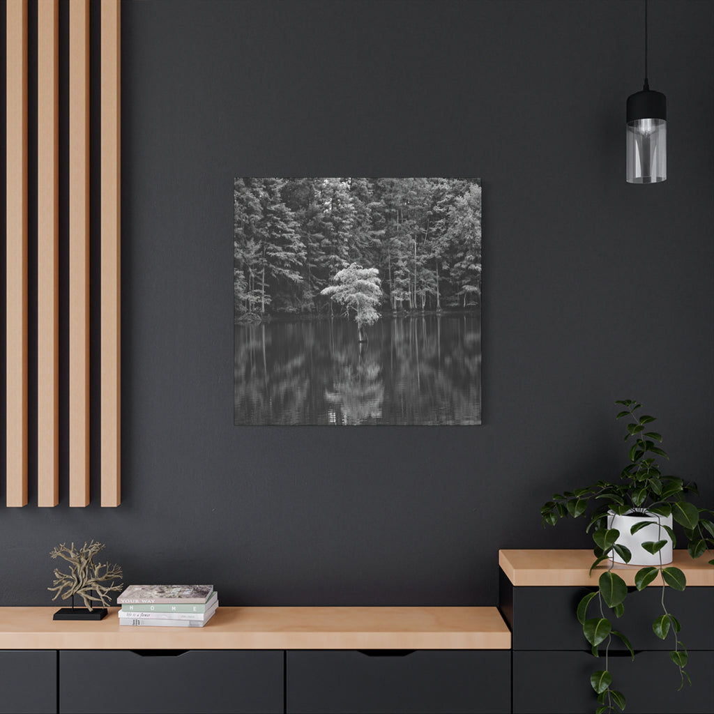 Marsh Solitary Tree Canvas
