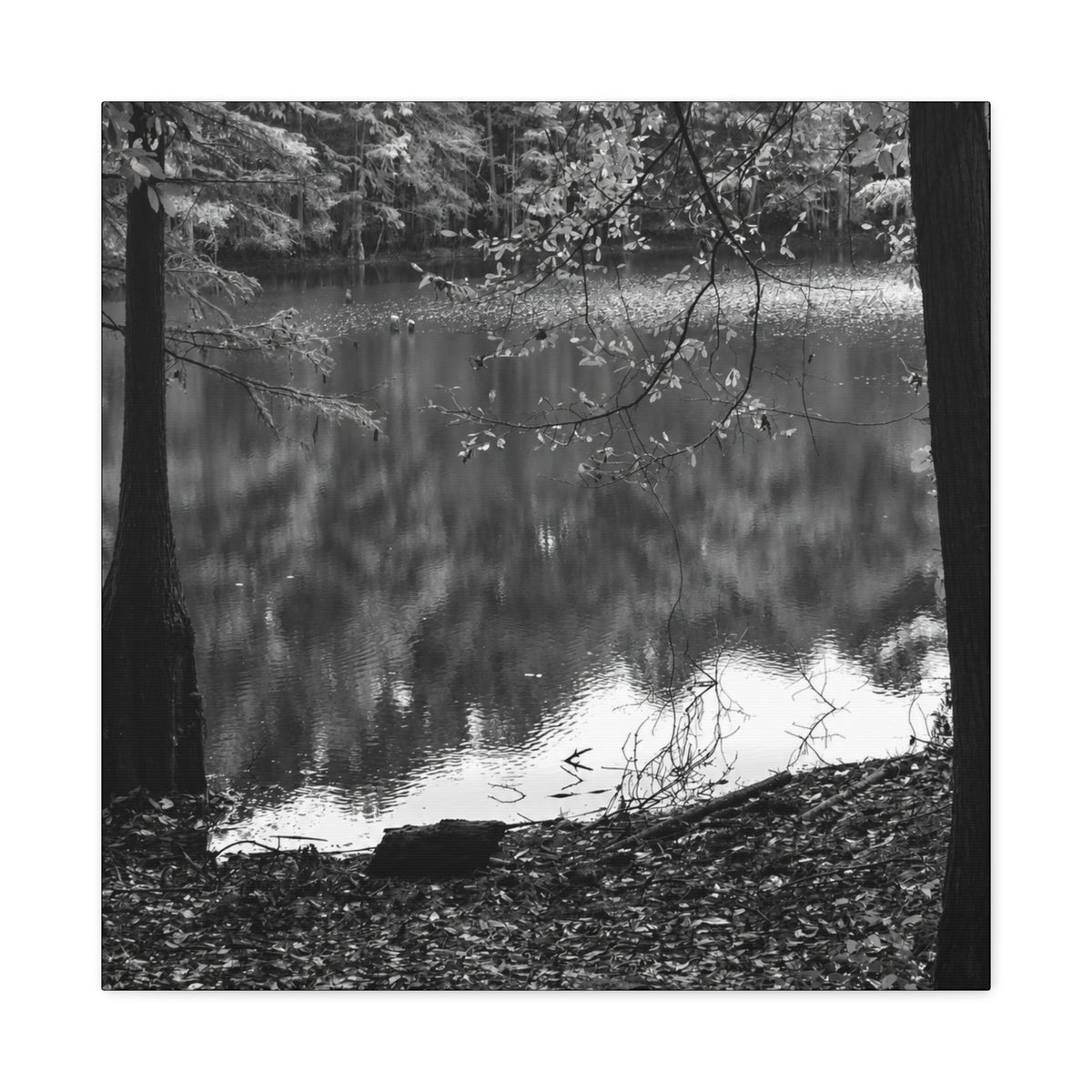 Marsh Edge 2 Canvas