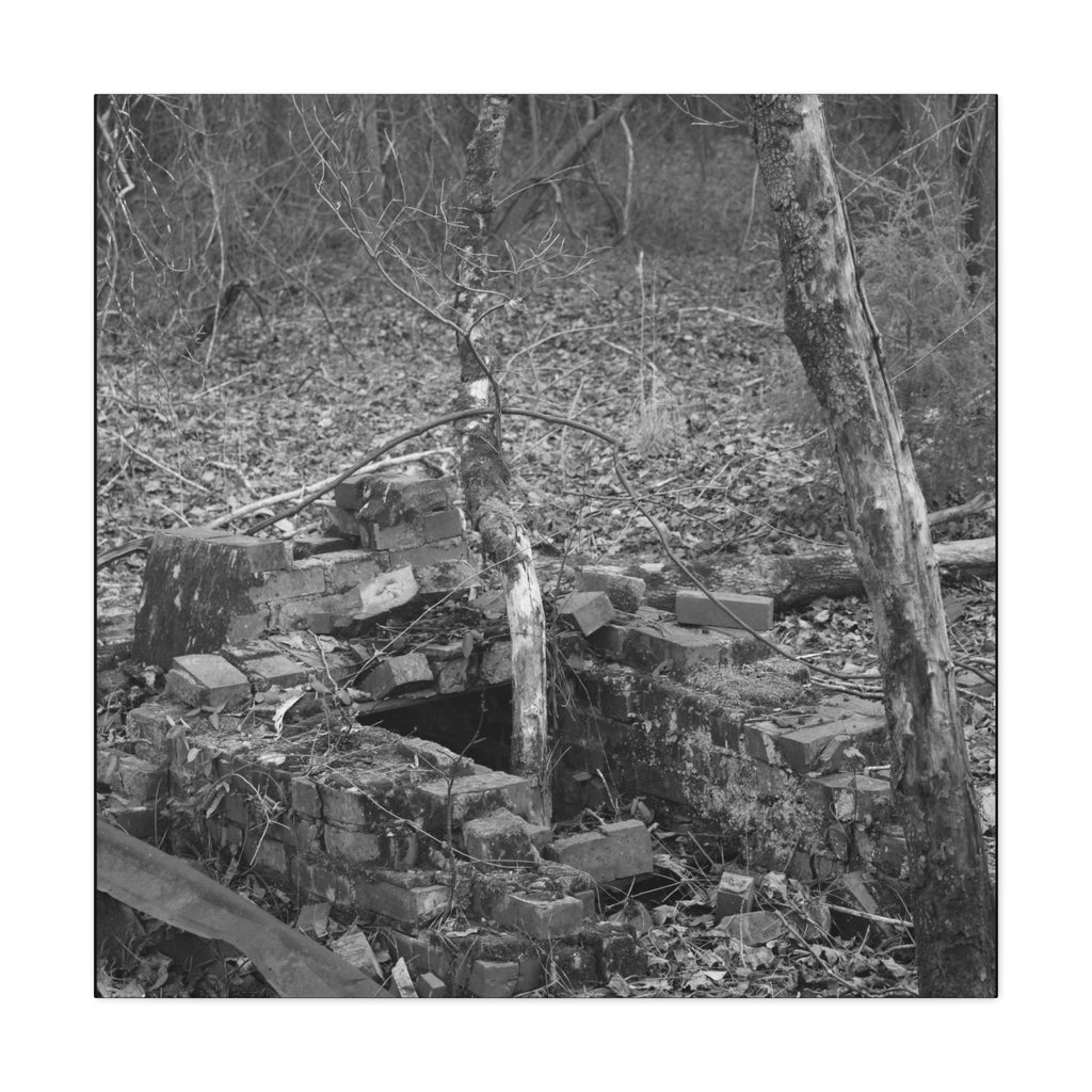 Forest Rubble Canvas