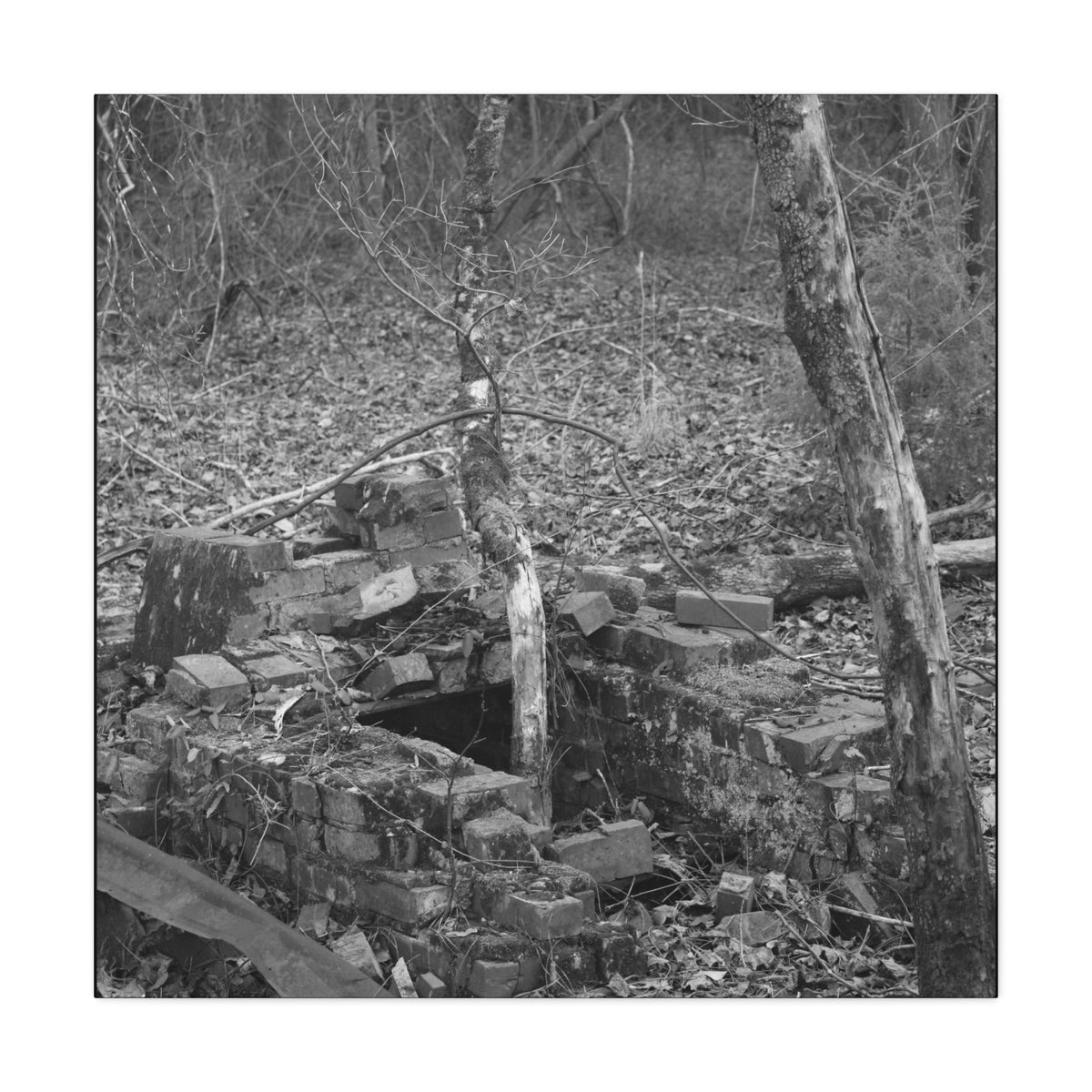 Forest Rubble Canvas