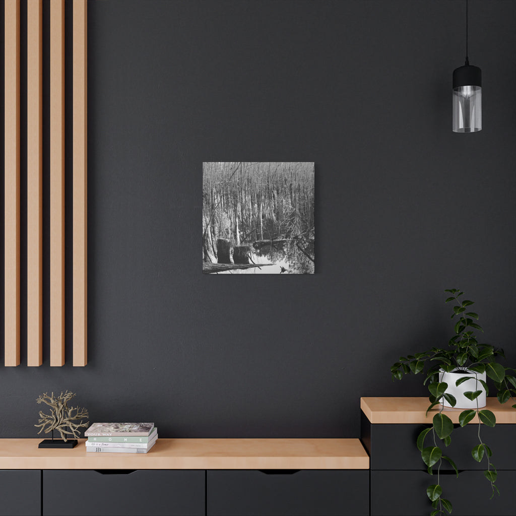 Marsh Stumps Canvas